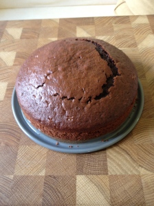 Chocolate Muffin Cake